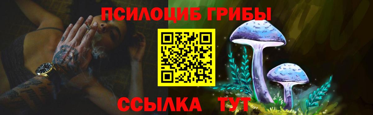 Всеволожск  Галлюциногенные грибы Psilocybe  Вход с VPN 